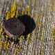 Image for article titled Shooting Challenge Gallery: 100 1